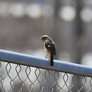 염하용핵의학과의원 | 헉 갑자기 삐끗! 그럴 땐 병원 정주행 각이죠