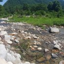 장천마을캠핑장 이미지