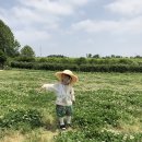 삼우목장 | 당진 아그로랜드 태신목장 아이와 가볼만한 곳