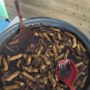 베스트태권스쿨 이미지