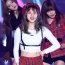 로하 이미지