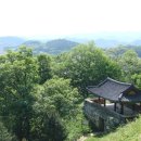 푸른태양광발전소 이미지