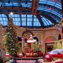 벨라지오호텔 이미지