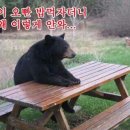 파랑 이미지