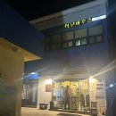 호랑이네 | 제주 맛집 월정리 호랑이네 내돈내산 후기