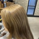 고은안경원 | 운정미용실 아이디헤어운정목동점 레드브라운 염색 찐 후기