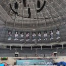 볼사이팅 이미지
