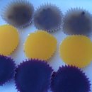 자래경로당 이미지