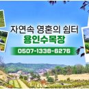 경안천로 258번길 이미지