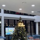 새애월 | 제주 애월 가성비 숙소 새마을금고제주연수원 숙박 후기