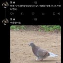 노가리 공중화장실 | 오백년만에콘서트다녀왓어요