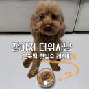 더펫레시피 이미지