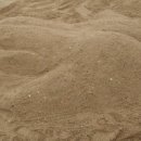 옐로우펜션민박 이미지