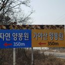 가야산 양봉원 네이버블로그