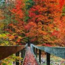 가화만사성 이미지