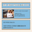 주식회사 하늘컴퍼니