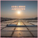 전남 신안가볼만한곳 증도 태평염전 염생식물원, 소금밭 낙조 전망대