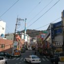 영진당약국 Daum카페