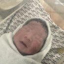 양수의과병원 | 일산차병원 제왕절개 vs자연분만