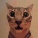 변재석 | 의주 ♡ 나...를 빙자한 앤팀 사녹미팬 후기