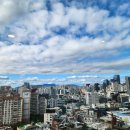 강남용역(주) | 서울 종로 공평동 다동 / 강남 강남역 역삼동 선릉...건물 사옥 카펫 청소, 정기적인 카페트 청소 후기