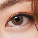 브라운블라썸 이미지