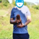 참 조은 훈이네 강아지 이미지