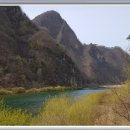 개나리꽃민박 이미지