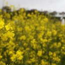 레일바이크공원강변 이미지