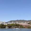 연지매장 | 김해 연지공원 맛집 <돈까스공업사> 역대급 비주얼 '피크닉 세트' 솔직 후기 (feat. 봄나들이 꿀팁)