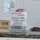 오션해수탕 | 스파리조트 안단테 장흥 24시 스파 사우나 찜질방 득량만 보이는 오션뷰 해수탕 투숙객할인 내돈내산