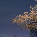 달달하니