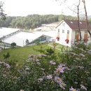 미리내캠프 이미지