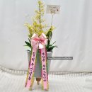 징리보건진료소 이미지