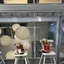 기린동물병원 | 분위기 물씬! 키즈이케아 강동 방문기 신상 기린 미어캣 사자인형/ 우드 장난감 기차/ 우드 공구세트...