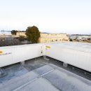 사리농장 이미지