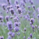 웰빙미용실 이미지