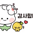 힐링블링