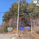 DN공인중개사사무소 | 거진읍 토지 매매