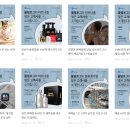 베어코리아