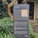 구 경성제국대학 부속 생약 연구소 제주도 시험장 이미지