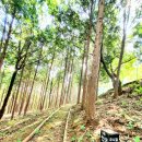 공룡박물관야외화장실 이미지