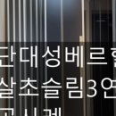 도담 도화