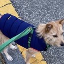 우면산3-23 이미지