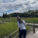 갯골생태공원 이미지