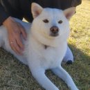 워니시티 이미지