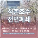 석촌호수 벚꽃축제 취소 폐쇄, 아쉬움을 팔찌diy로 달래보아요~