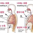 룩스필라테스송파개롱역점 네이버블로그