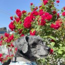 학동프라임약국 이미지