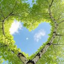 부전상가 이미지